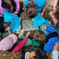 Mirant invertebrats 2