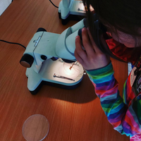 Mirant per la lupa binocular