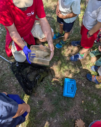 Mirant un trit&oacute;