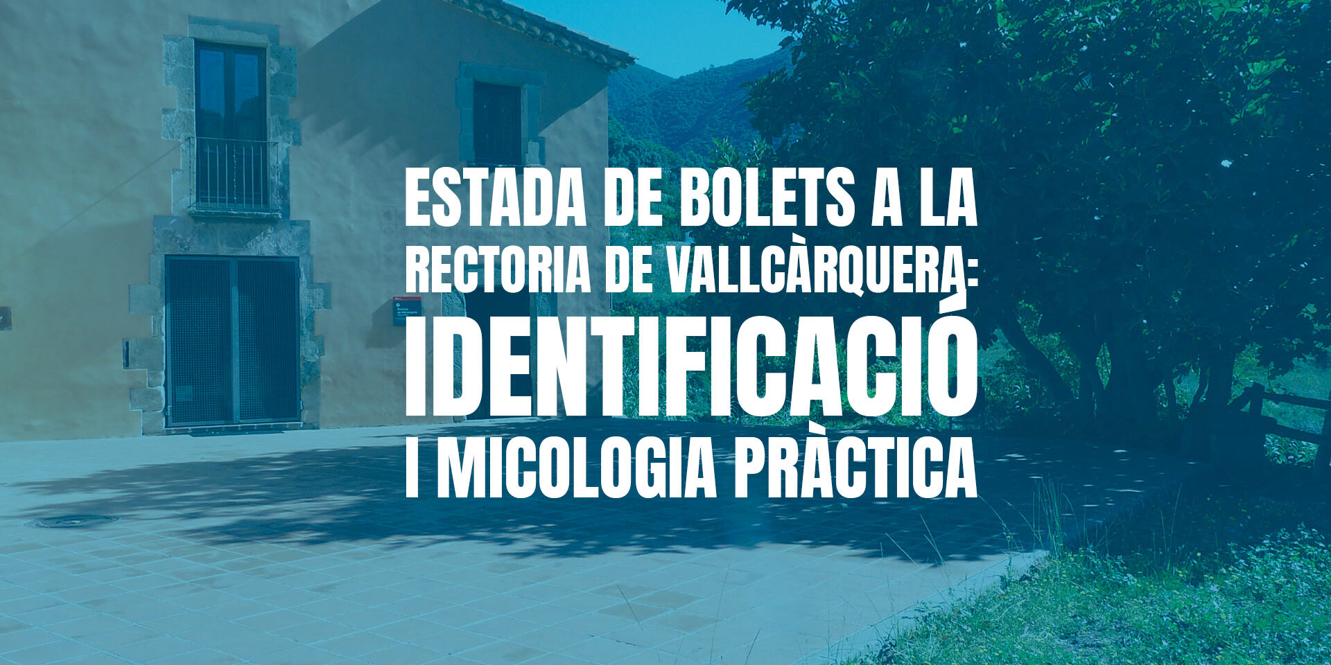 Estada de Bolets a la Rectoria de Vallcàrquera: identificació i micologia pràctica Estada de Bolets a la Rectoria de Vallcàrquera: identificació i micologia pràctica