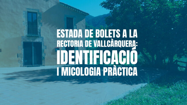 Estada de Bolets a la Rectoria de Vallcàrquera: identificació i micologia pràctica